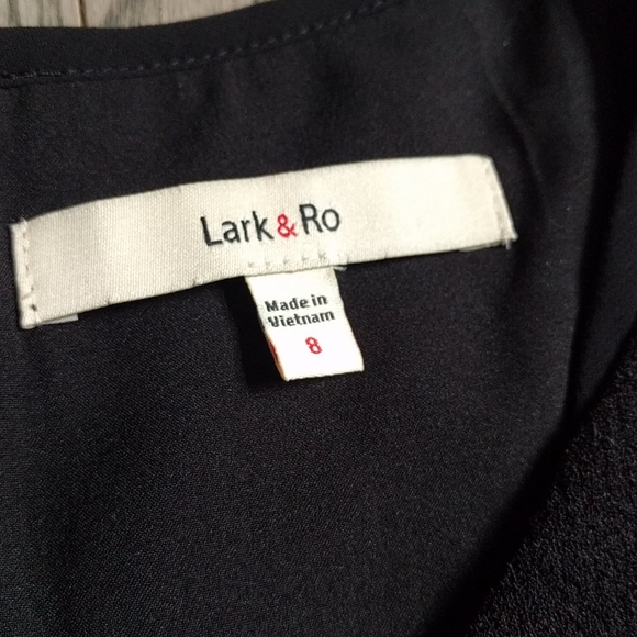 Beautiful dress by Lark &Ro⭐🌸🍀 - Picture 6 of 15